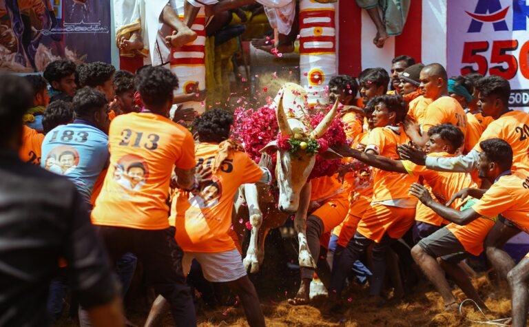 Jallikattu: Thrilling Madurai’s Traditional Bull-Taming Event